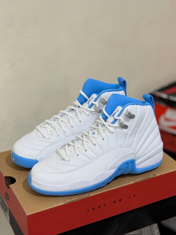 Nike air jordan retro 12 "melo"