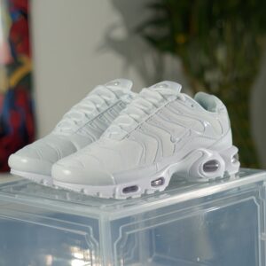 Nike air max tn